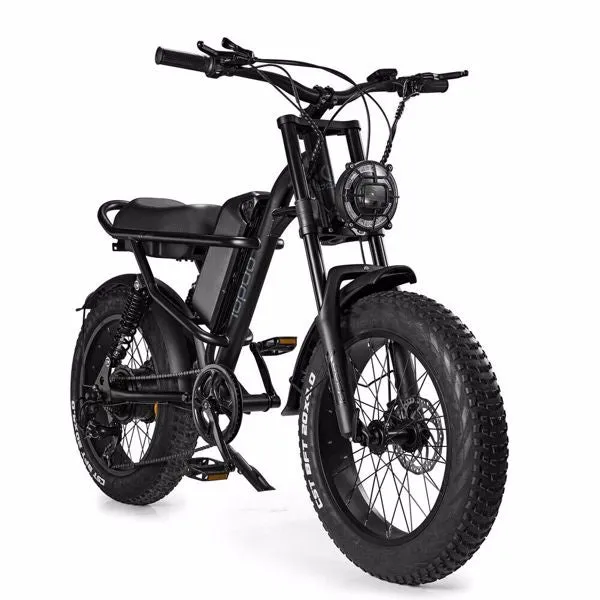 Mountain Ebike 2024 Design 500W Electric bike Out Door With Fat Tiire Electric Mountain Bike