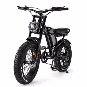 Mountain Ebike 2024 Design 500W Electric bike Out Door With Fat Tiire Electric Mountain Bike